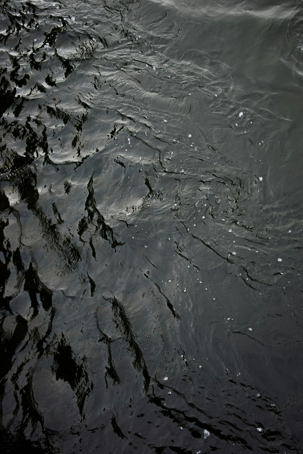 Una foto en blanco y negro del agua