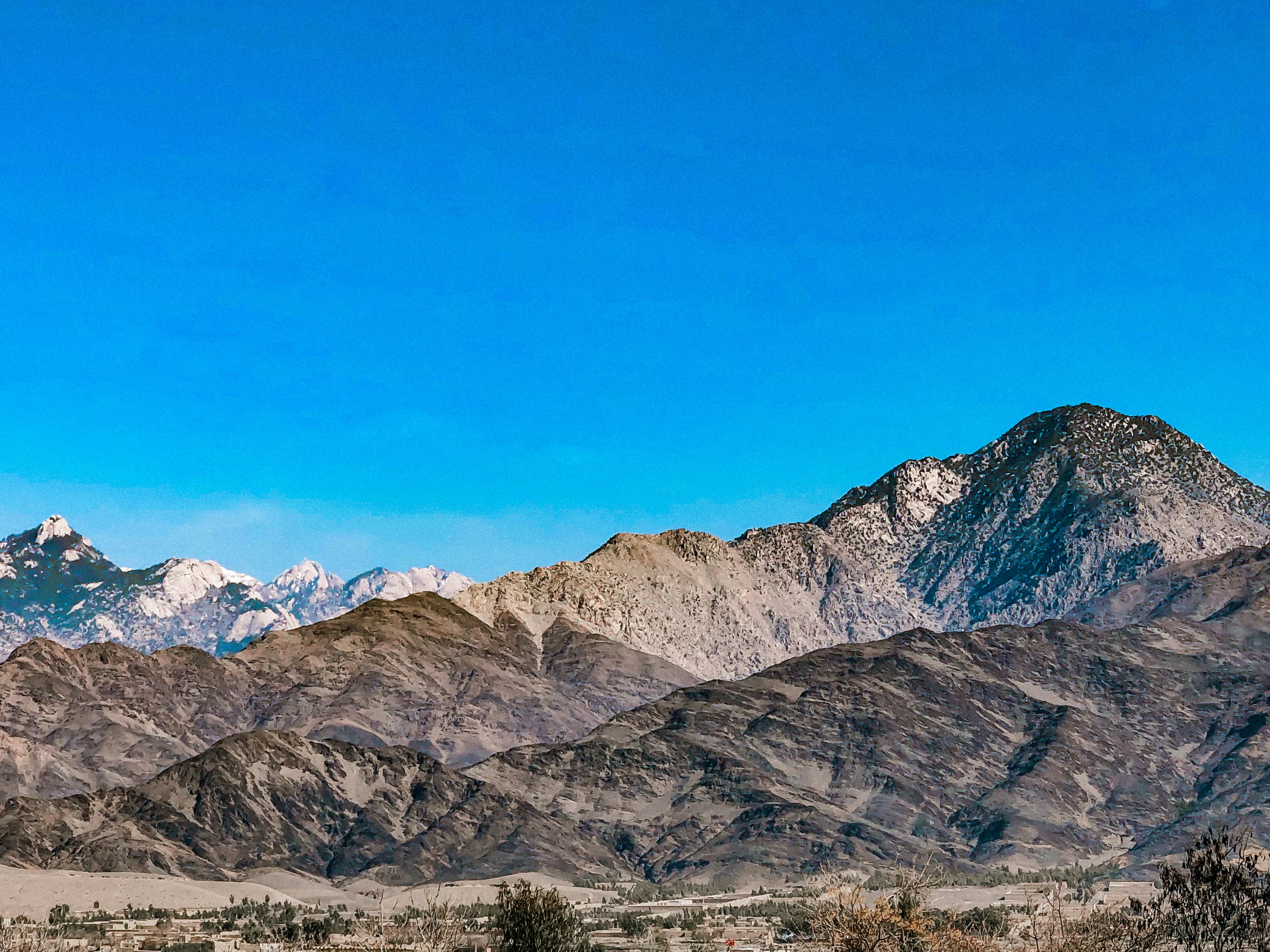 a herd of sheep grazing on a dry grass field