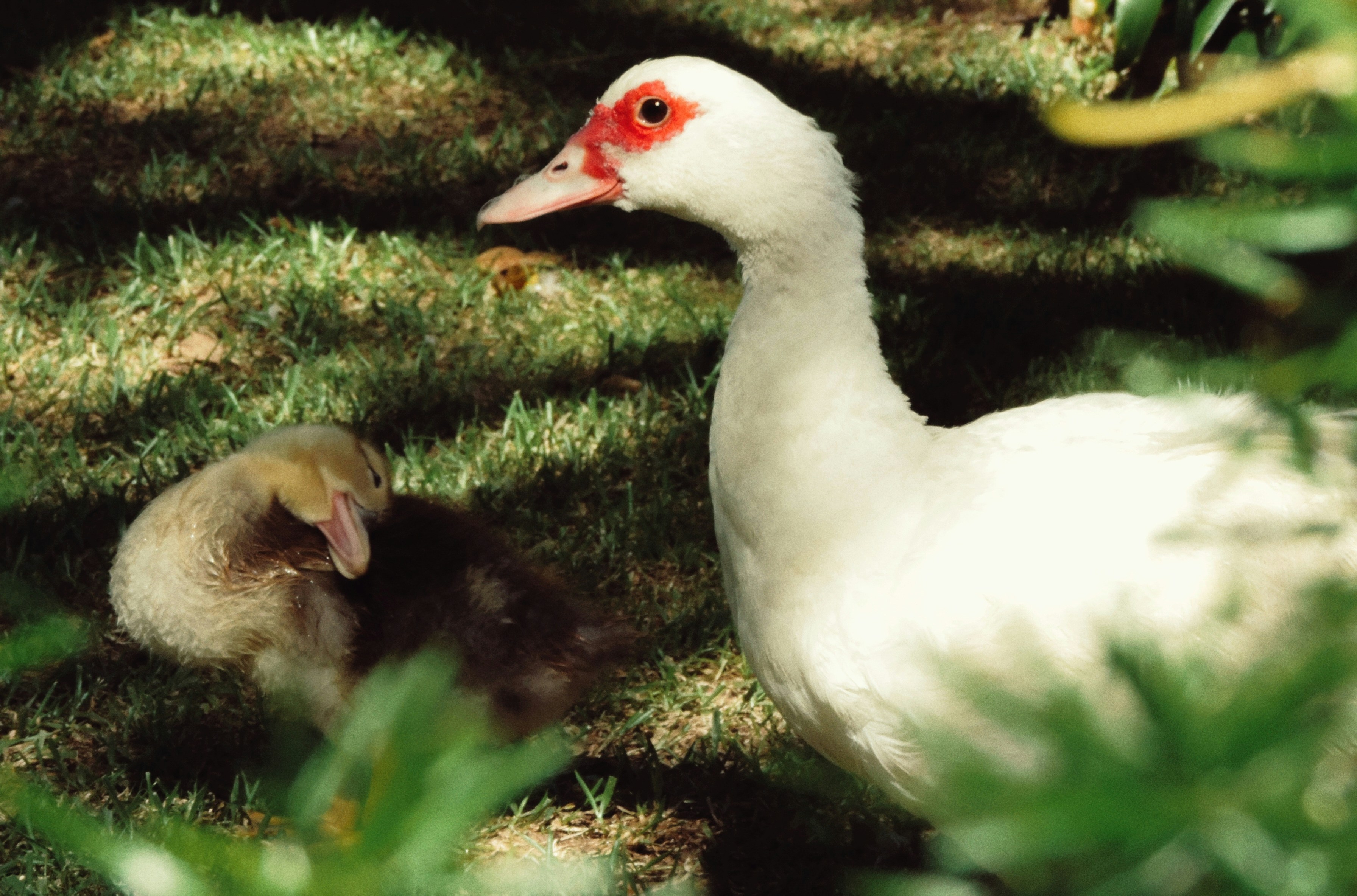 Photo by ibanez_marco