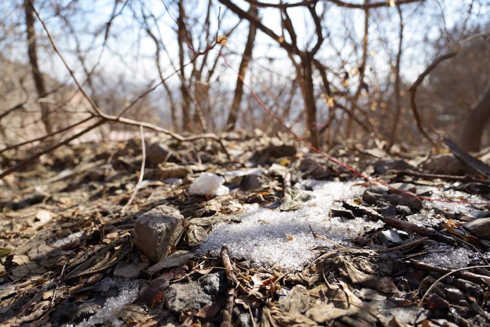 a bunch of snow that is on the ground