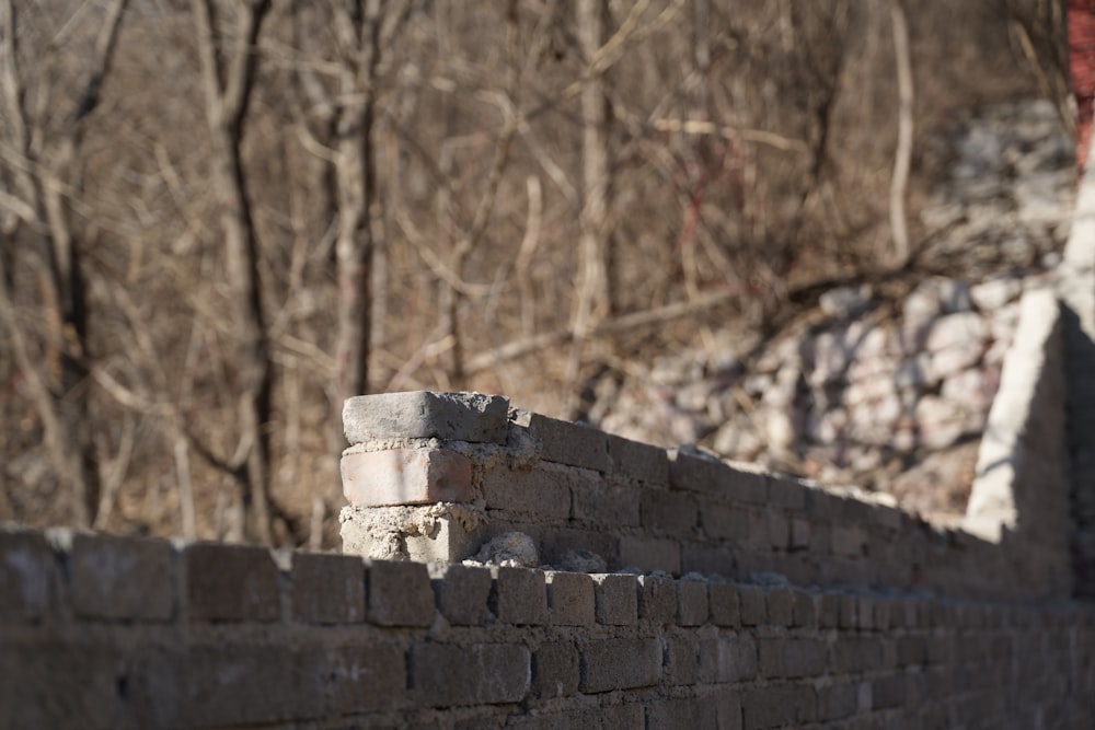 a brick wall in front of a wooded area
