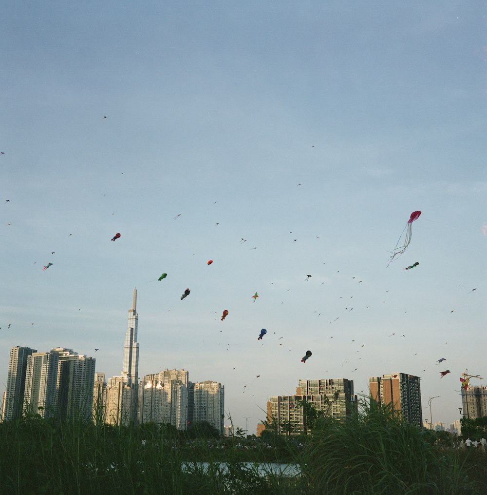 a group of kites flying in the sky over a city