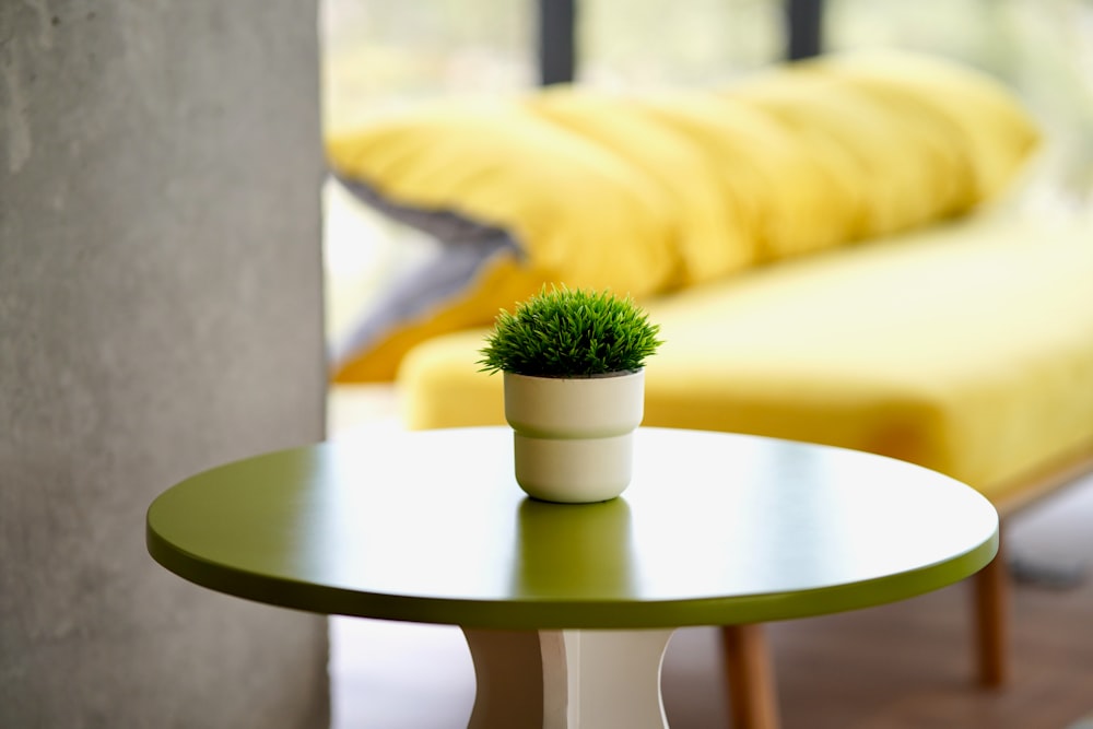 a small potted plant sitting on top of a table