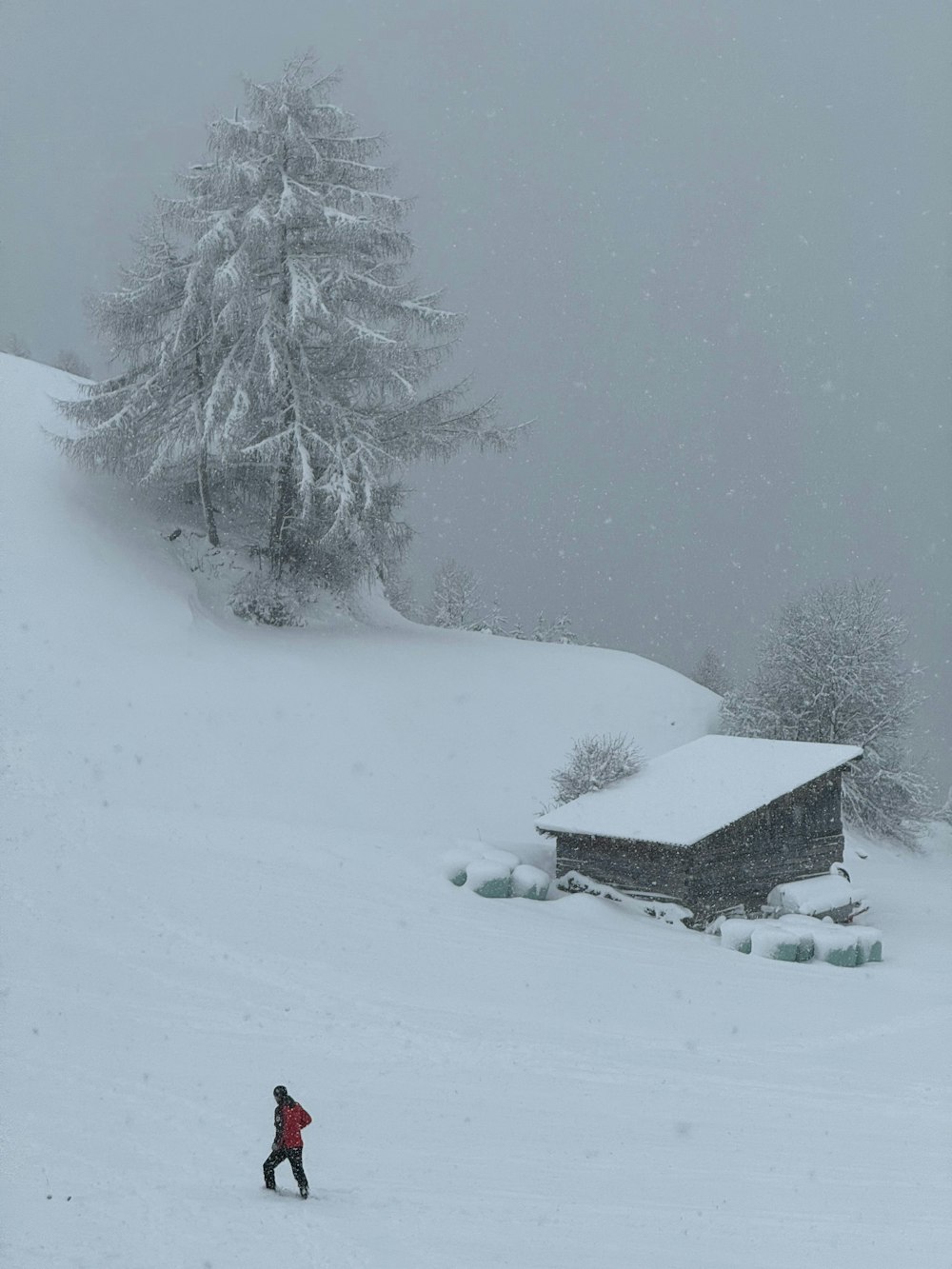 a person is skiing down a snowy hill