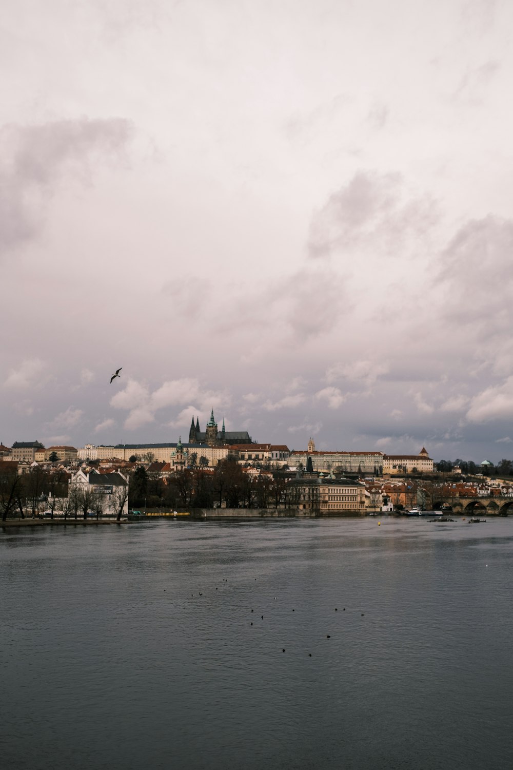 a large body of water with a city in the background