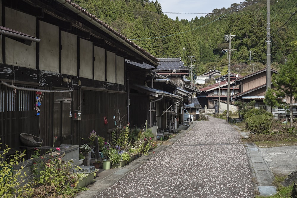 a narrow street lined with buildings and trees