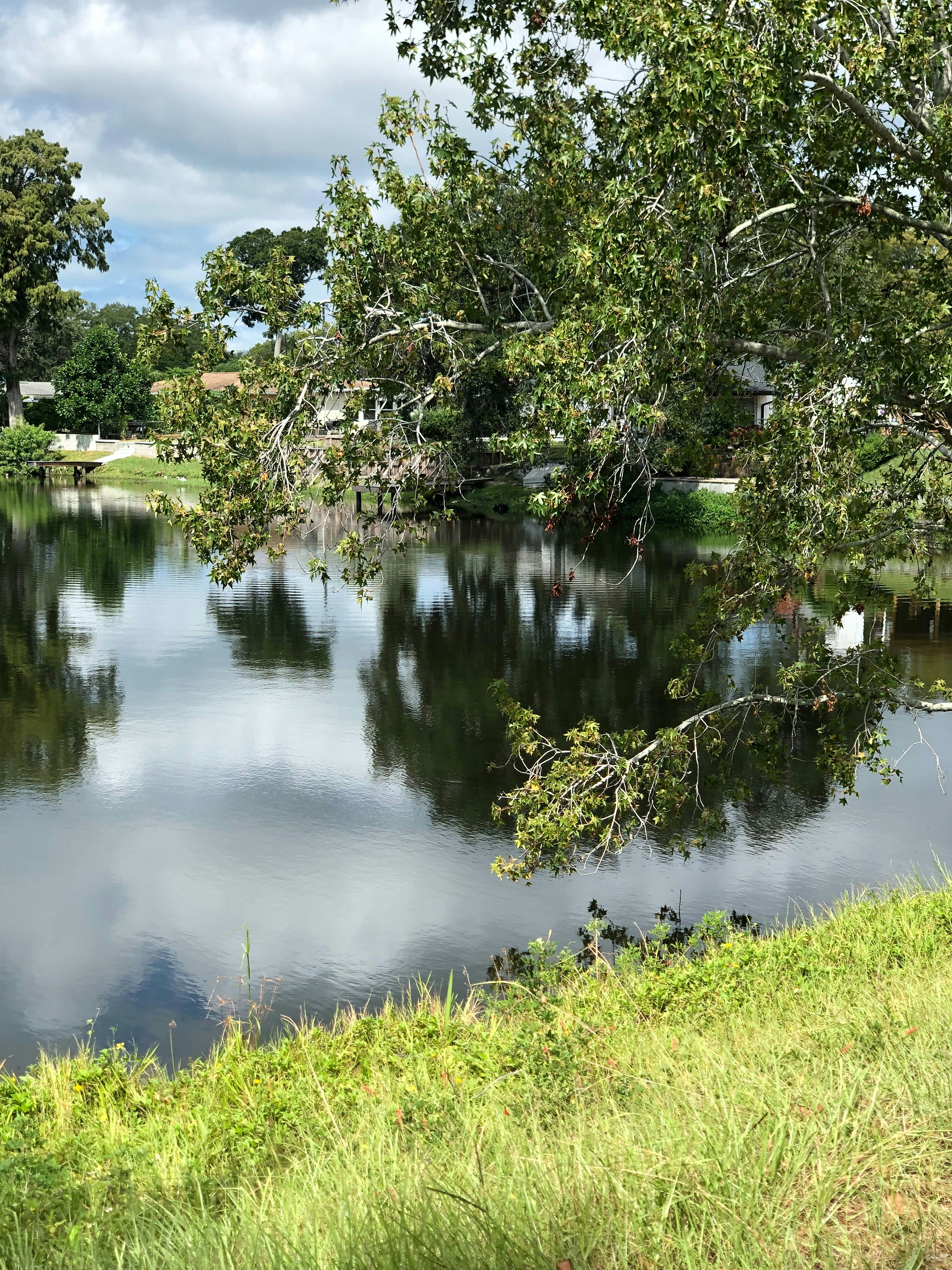 Photo by estebano2410