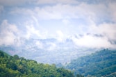 a view of a lush green forest covered in clouds