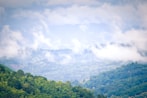 a view of a lush green forest covered in clouds