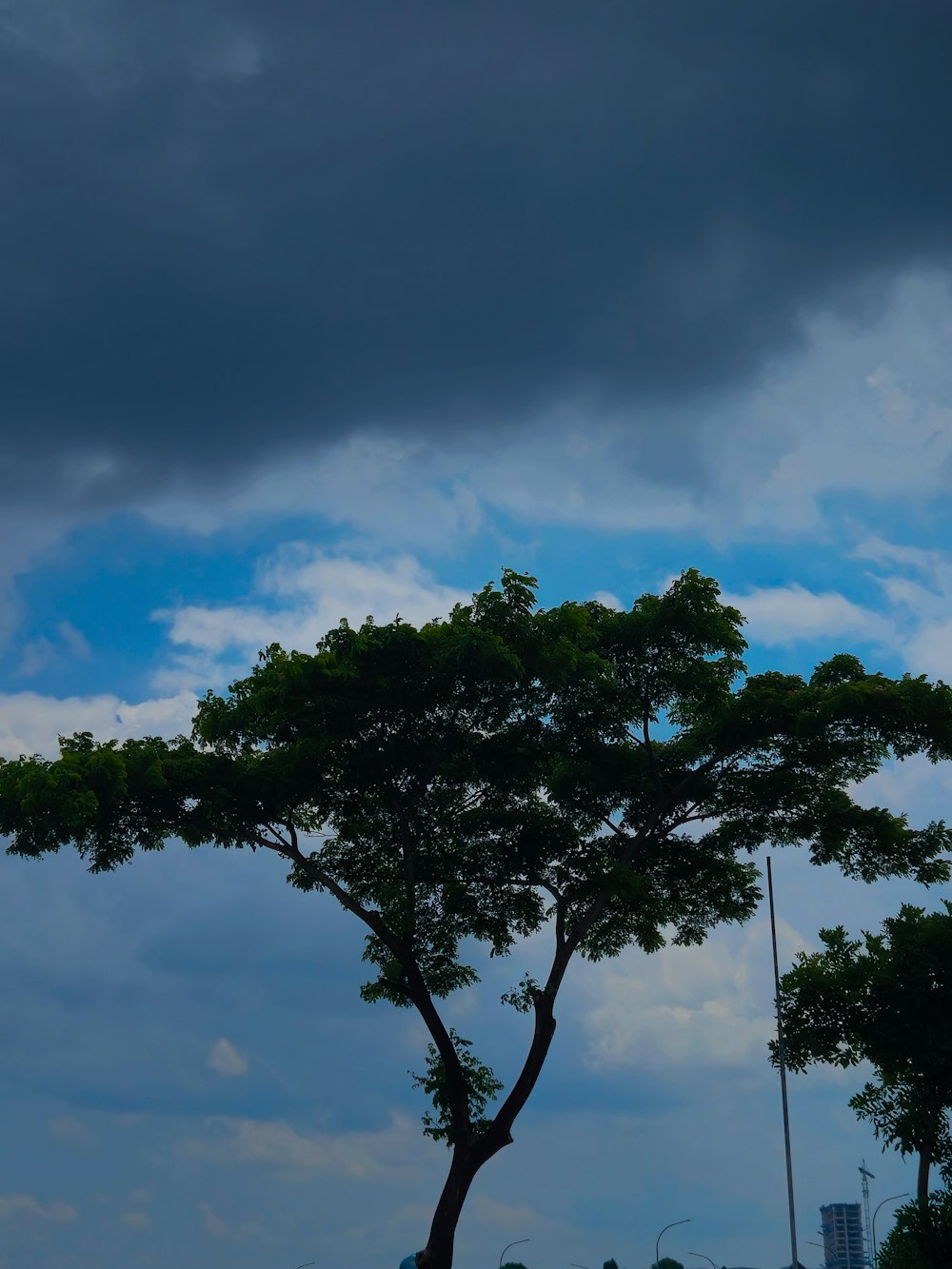 a lone tree in the middle of a cloudy sky