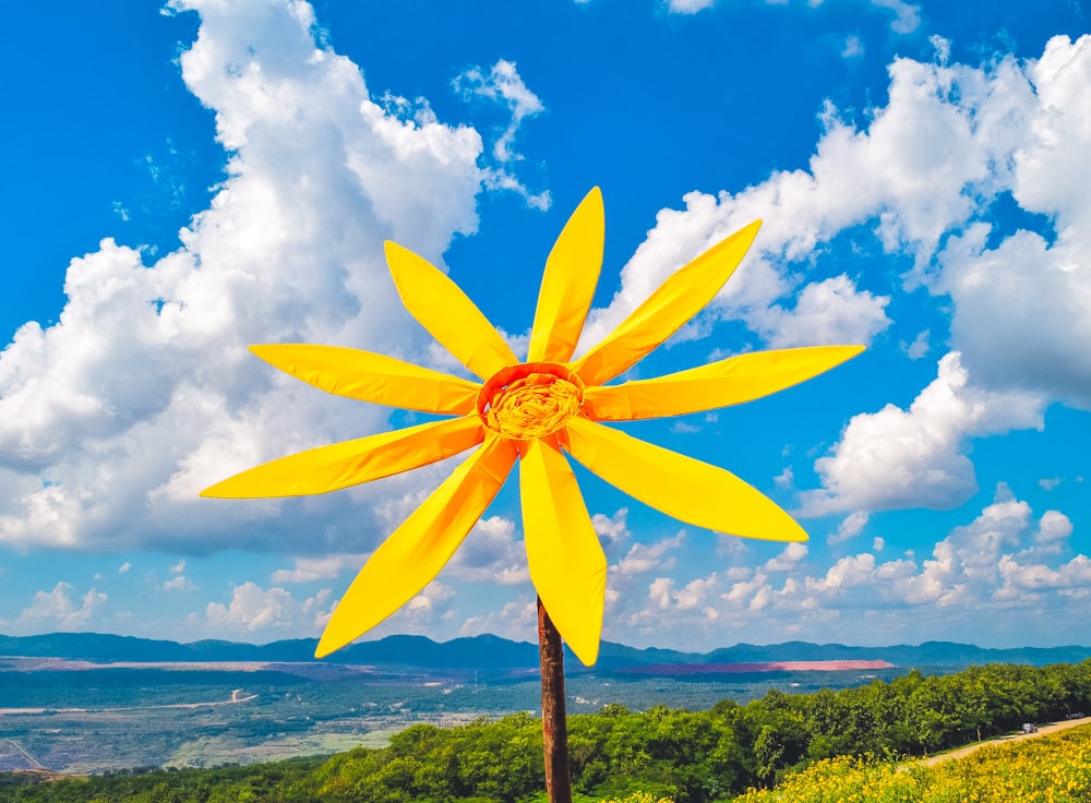 a large yellow flower sitting on top of a lush green hillside