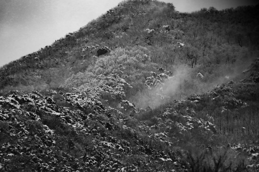 a black and white photo of a mountain side