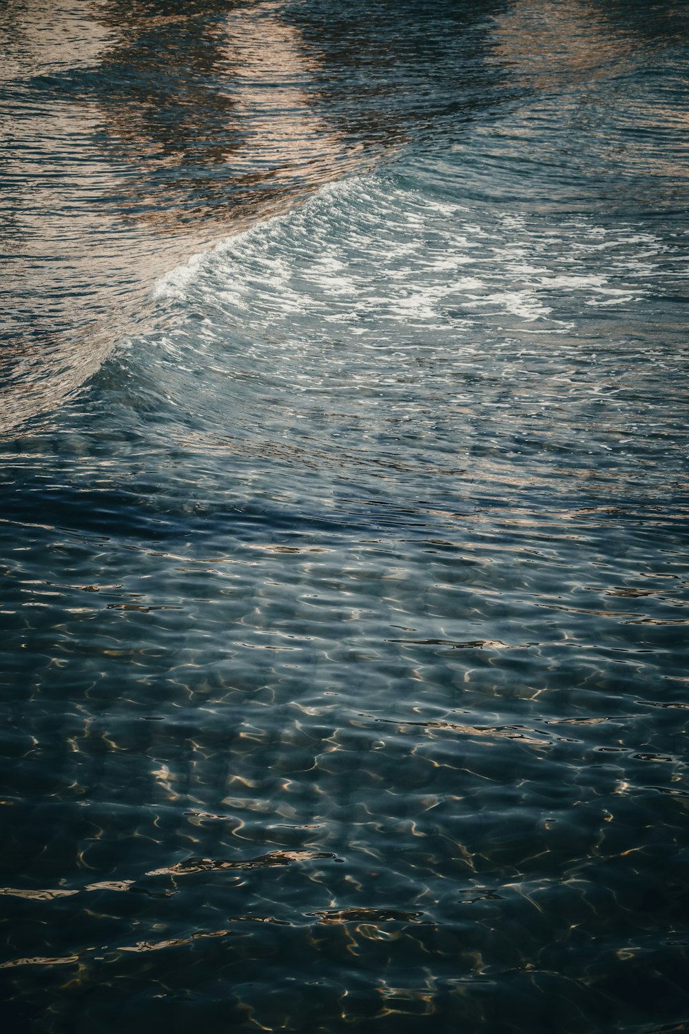 una ola viene hacia la orilla de una playa
