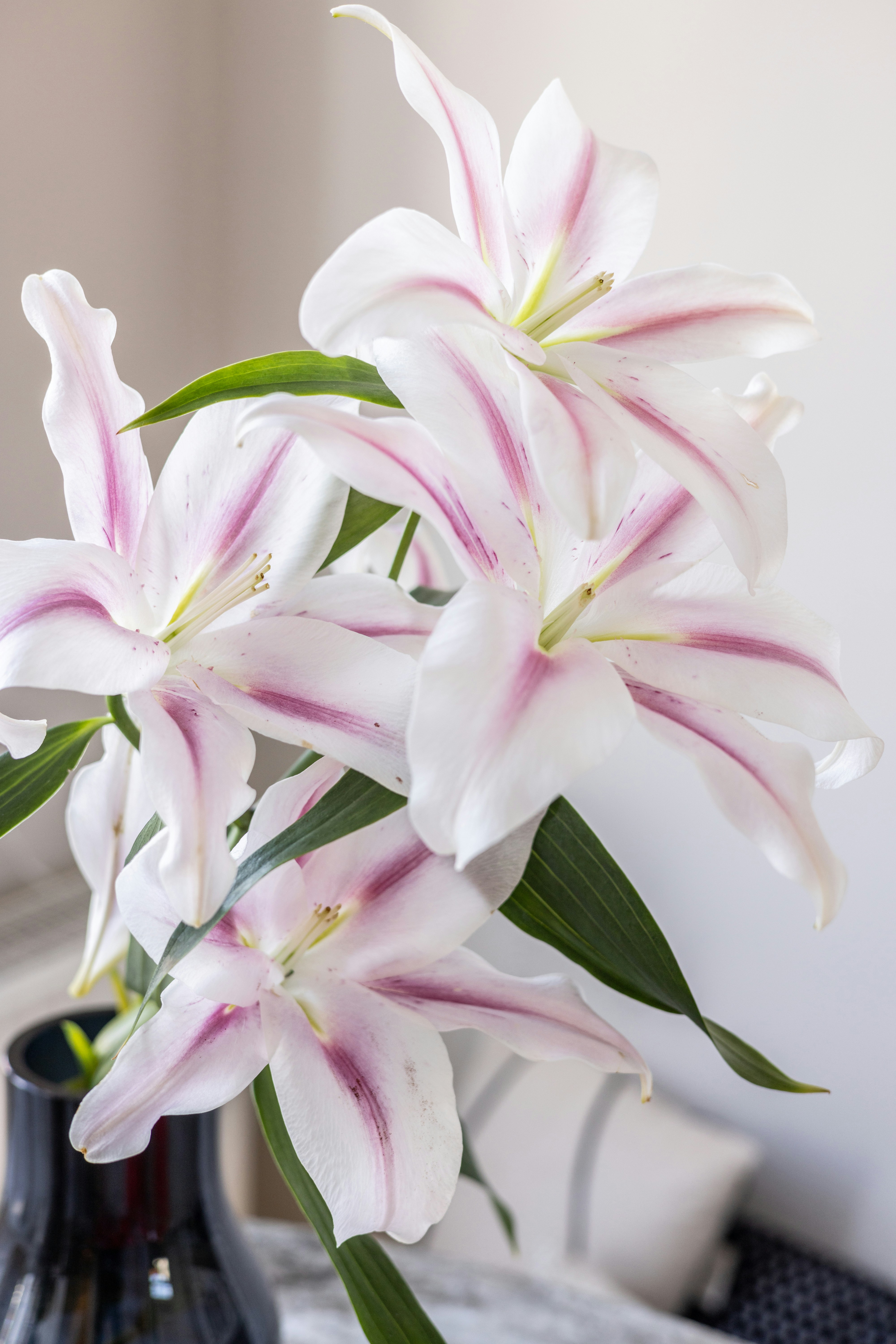 Photo by filipp_roman_photography