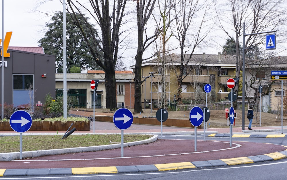 a group of blue and white street signs sitting on the side of a road