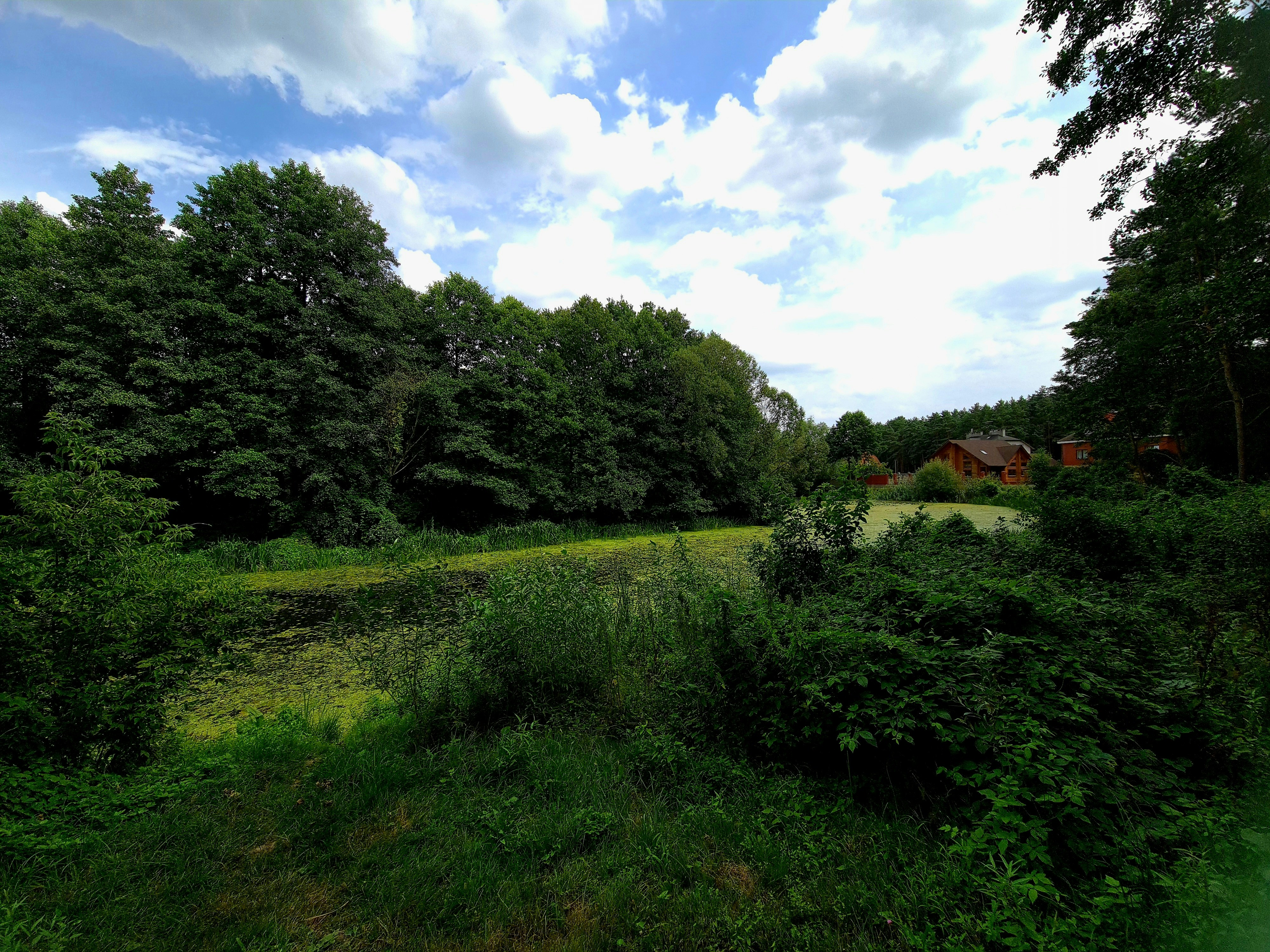 Photo by alx_edelstein