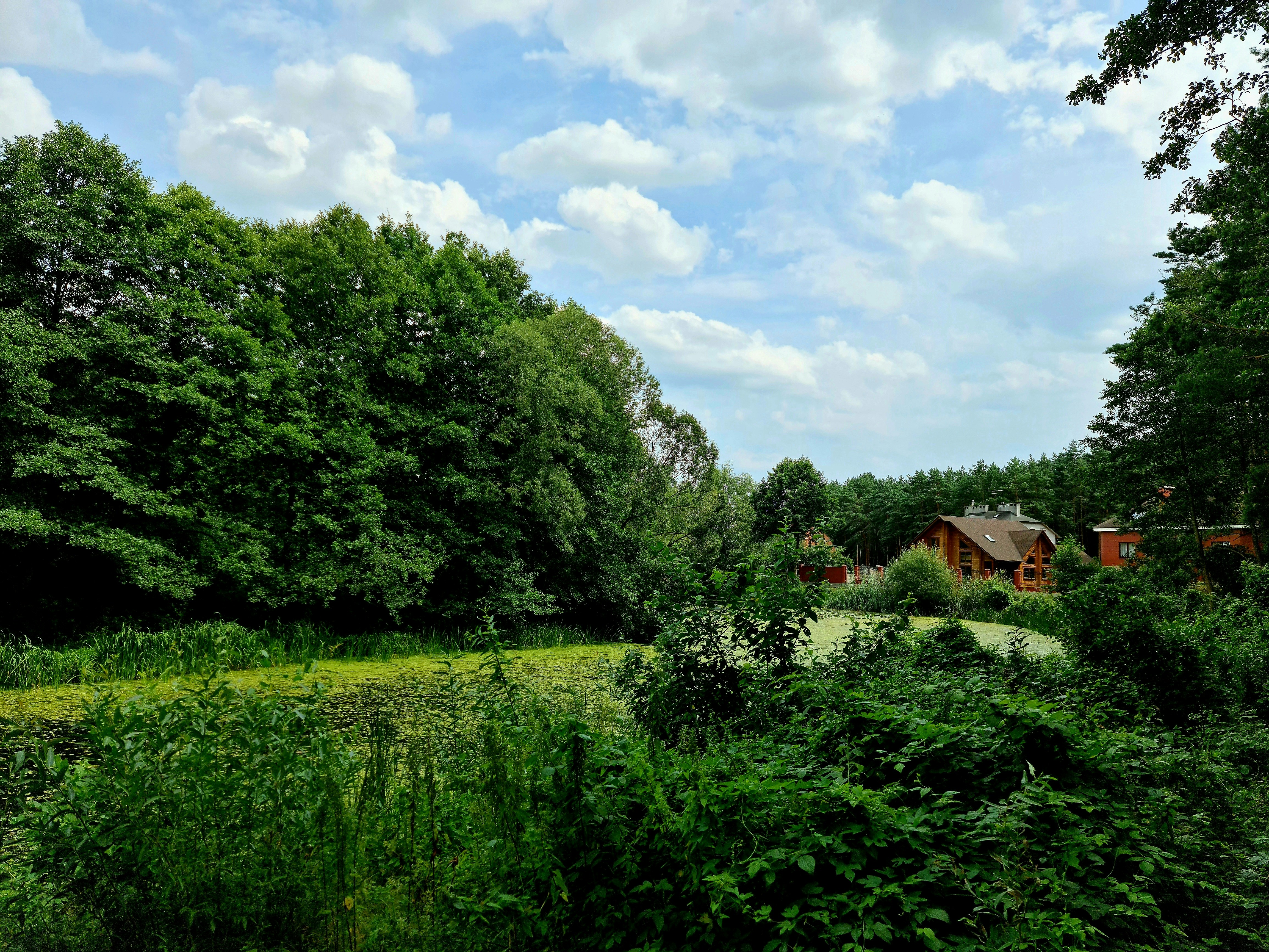 Photo by alx_edelstein