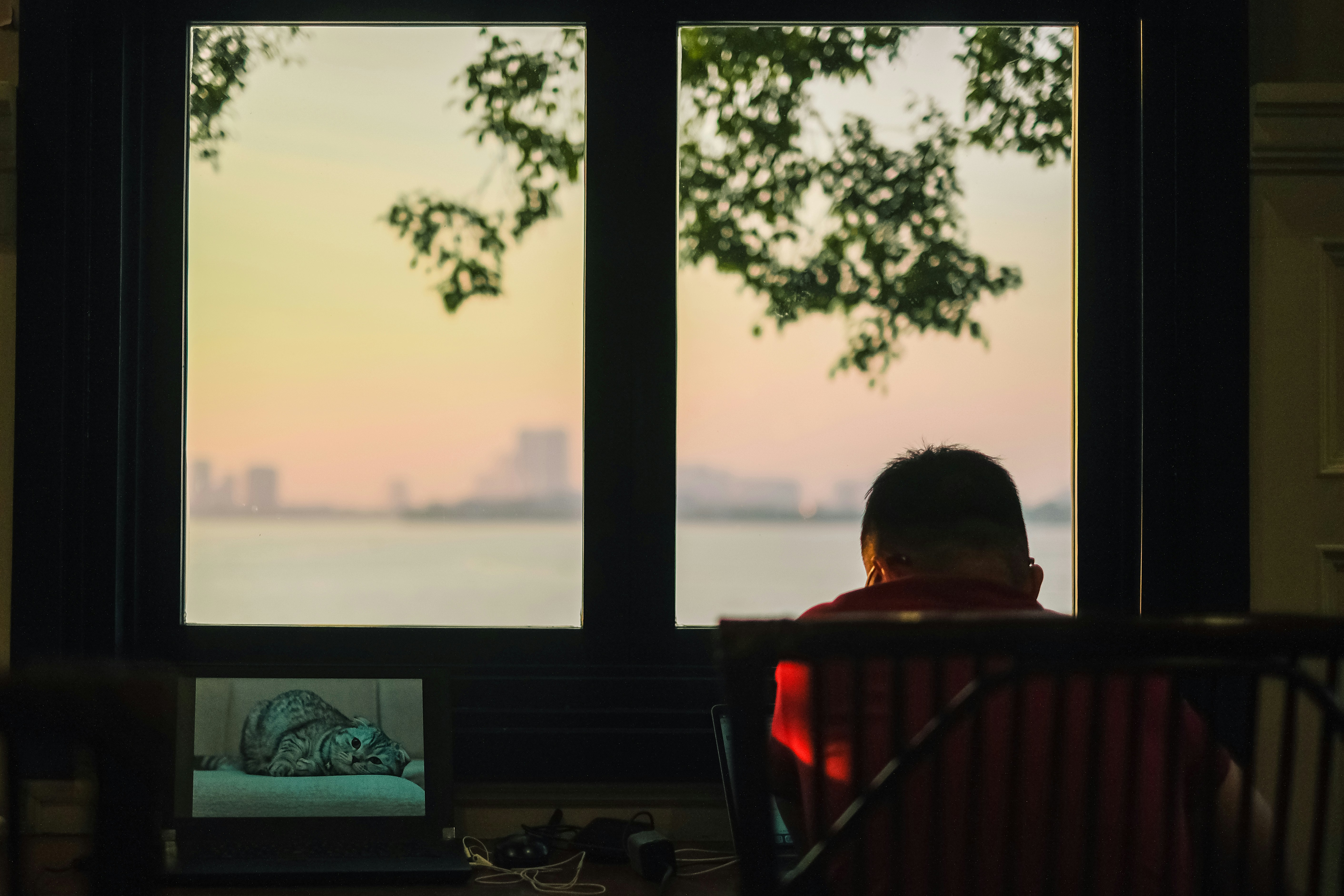 Person on laptop browsing apartment listings with Chicago skyline in background - 1 bedroom in chicago