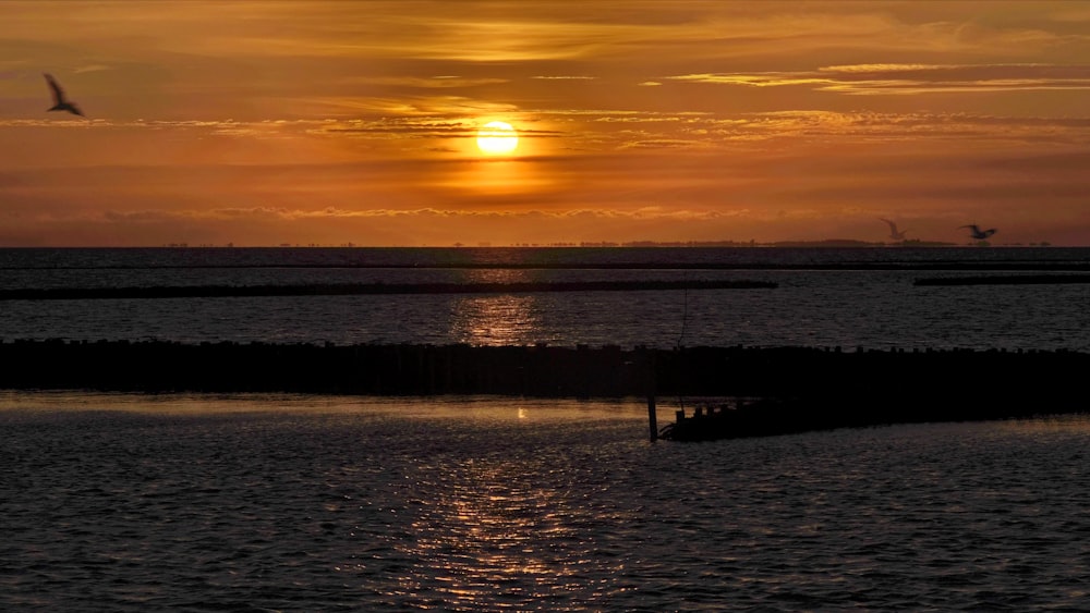 un tramonto su uno specchio d'acqua con un uccello che ci vola sopra