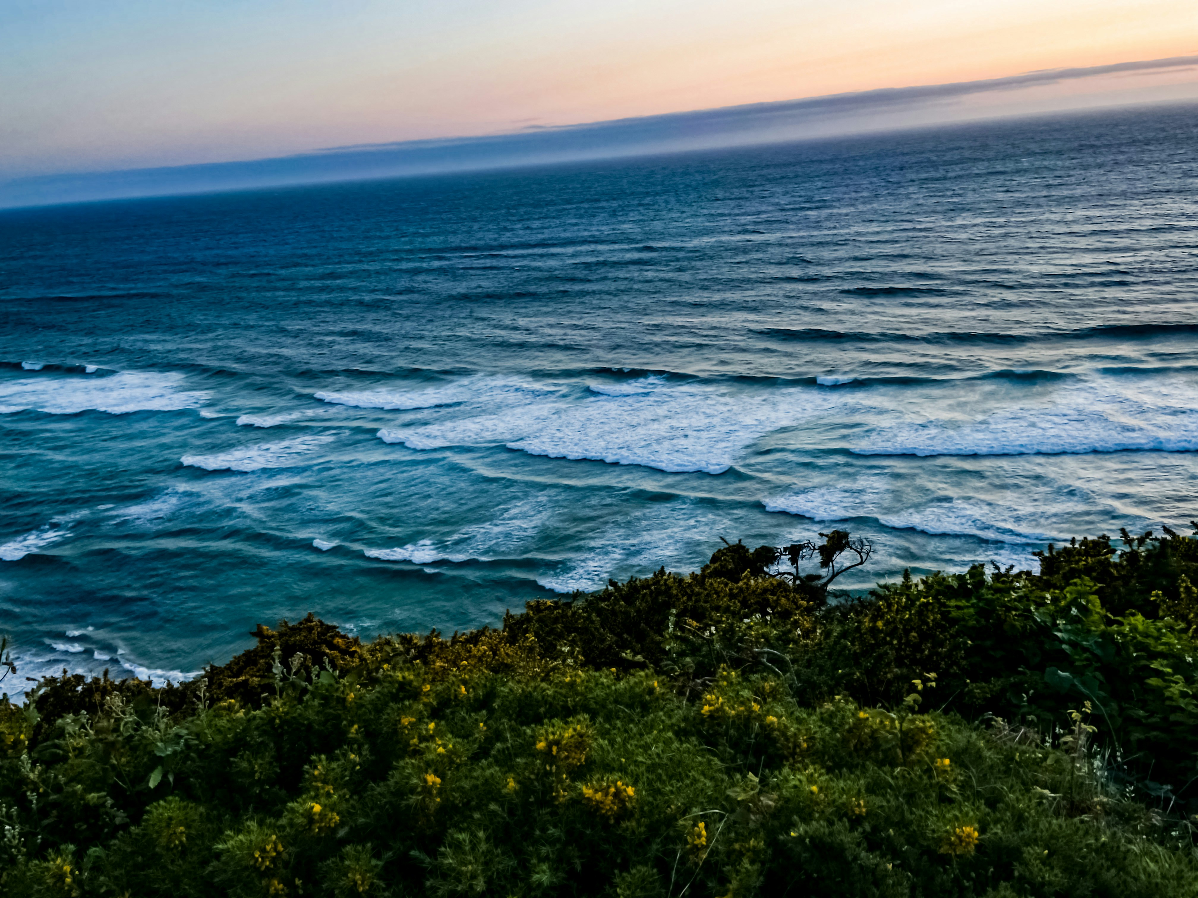 Photo by birdsfairytales