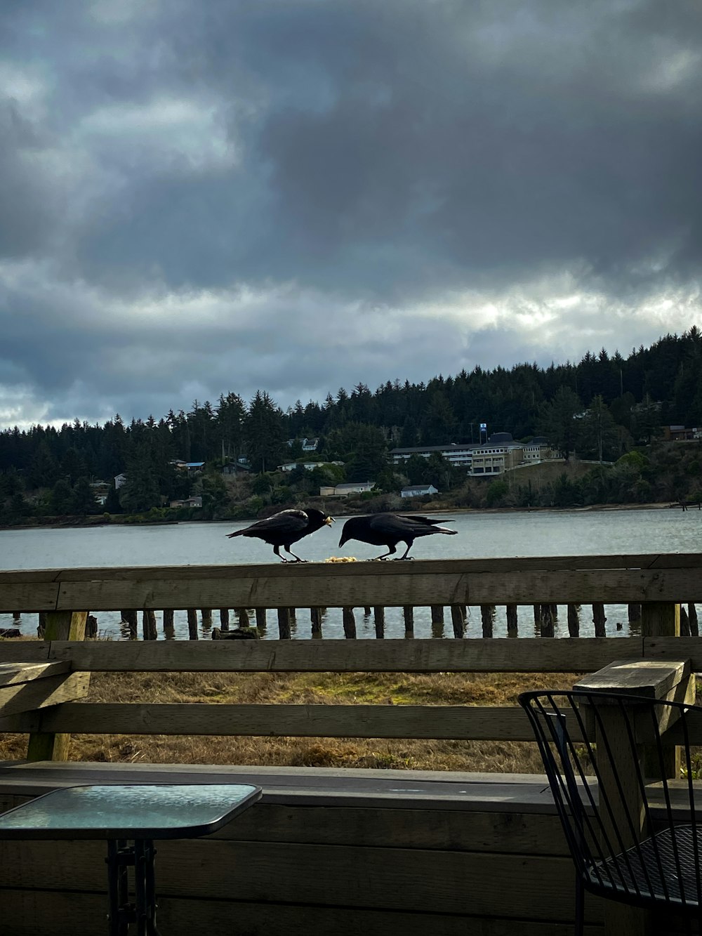 a couple of birds flying over a lake