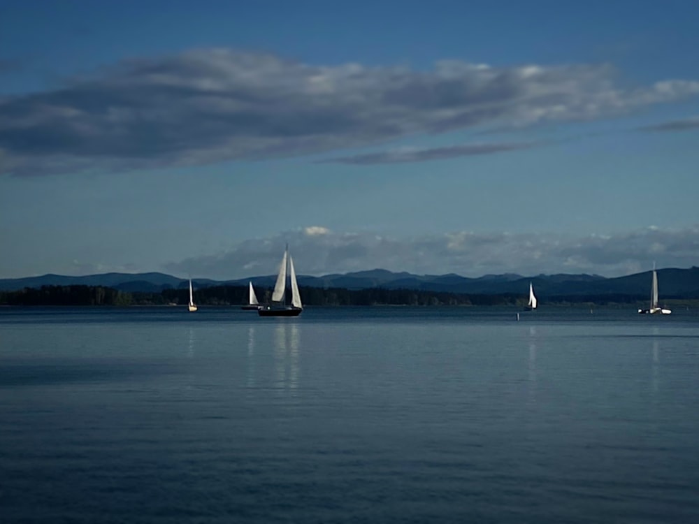 a group of sailboats floating on top of a large body of water