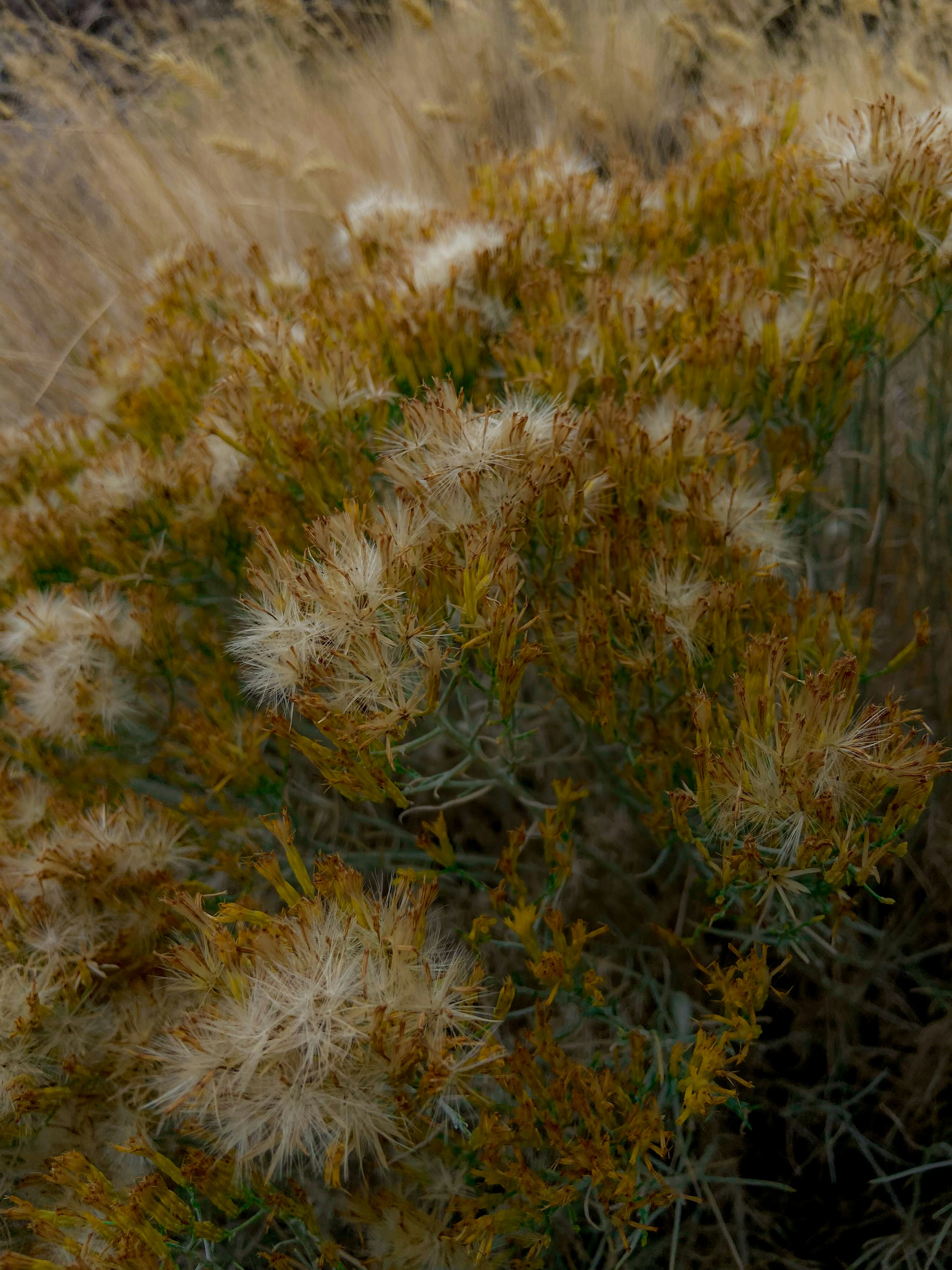 Photo by birdsfairytales