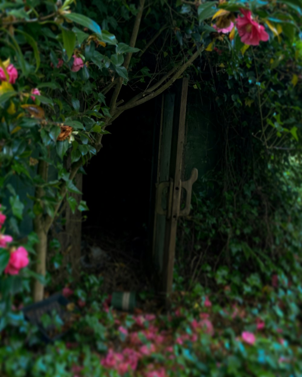a door in the middle of a lush green forest