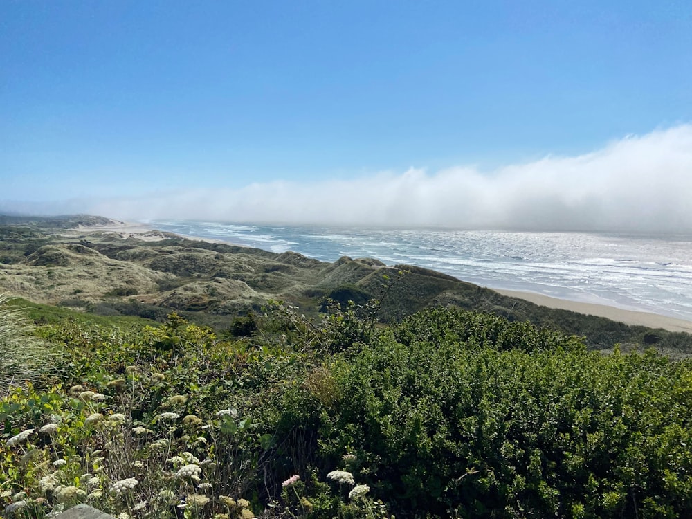 a view of the ocean from the top of a hill