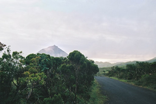a road with a mountain in the background