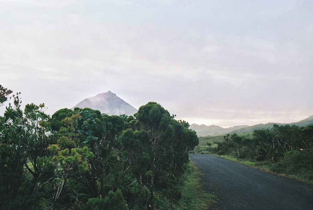 a road with a mountain in the background