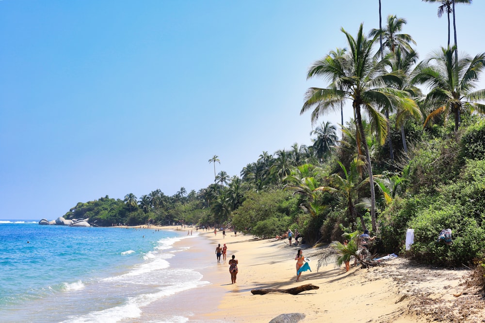 a group of people walking along a beach next to the ocean