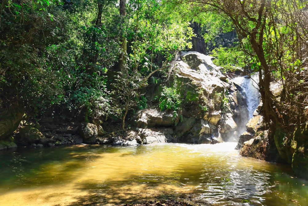 a small waterfall in the middle of a forest