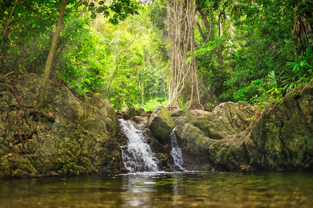 a small waterfall in the middle of a forest