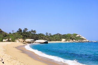 a sandy beach next to the ocean with palm trees