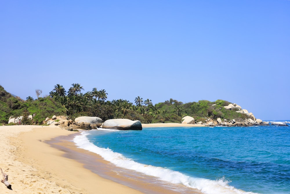 a sandy beach next to the ocean with palm trees