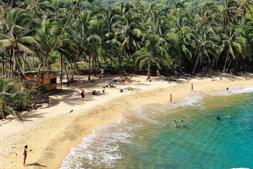 a beach with a lot of people on it