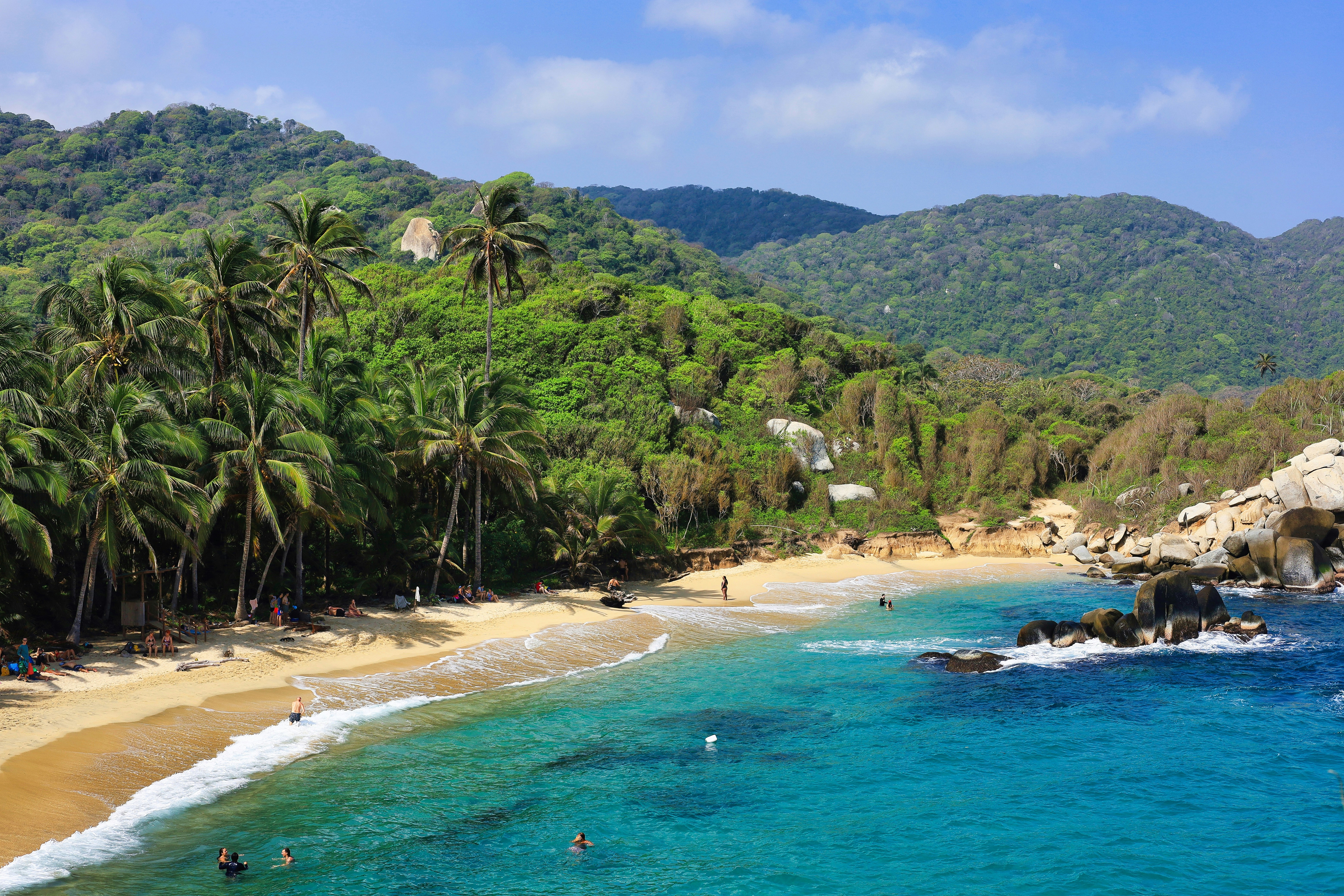 a beach with palm trees and people swimming in the water, 
