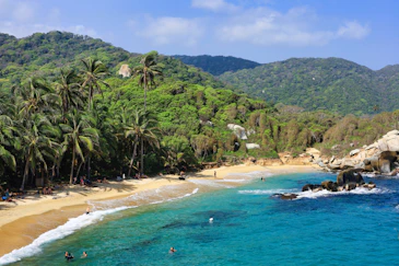 a beach with palm trees and people swimming in the water