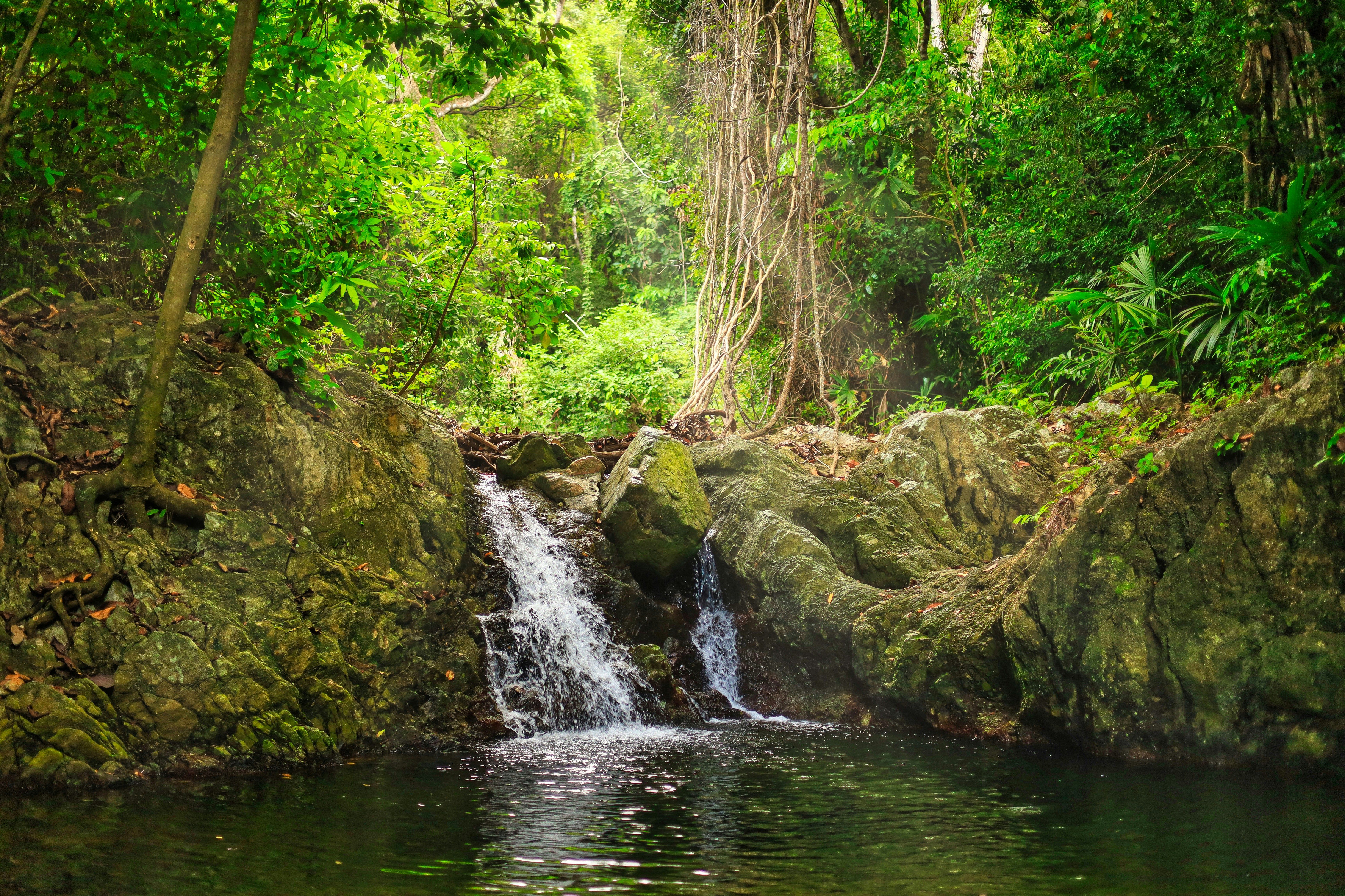 a small waterfall in the middle of a forest