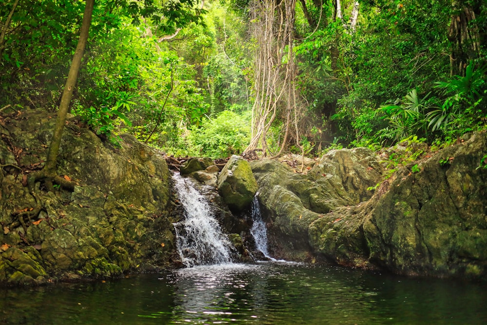 a small waterfall in the middle of a forest