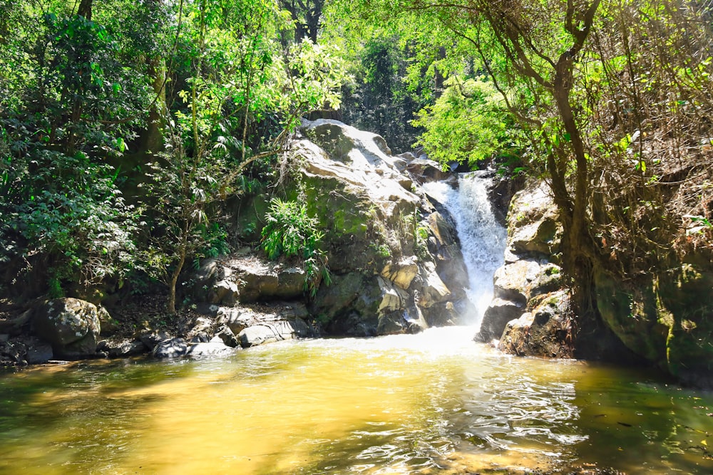 a small waterfall in the middle of a forest