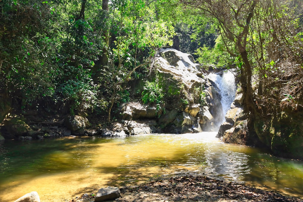 a small waterfall in the middle of a forest