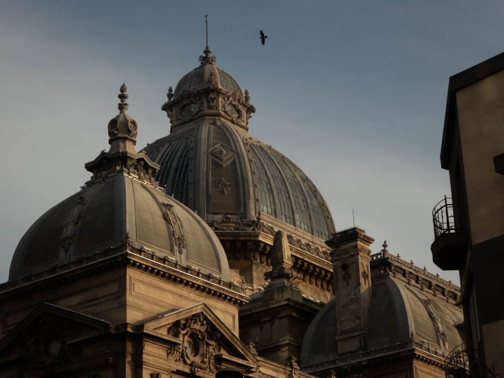 a large building with a dome and a bird flying over it