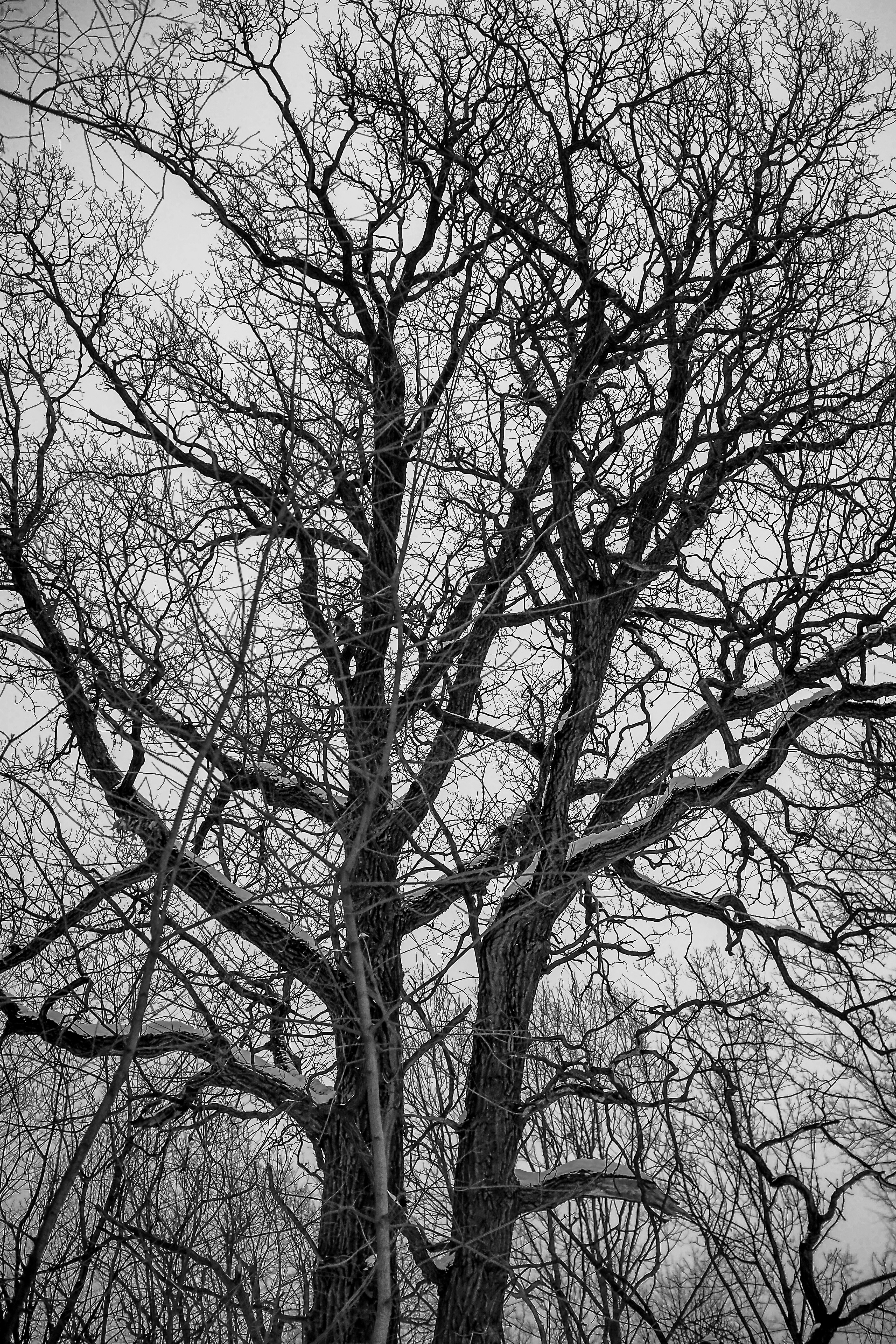 Photo by trofimova_photographer