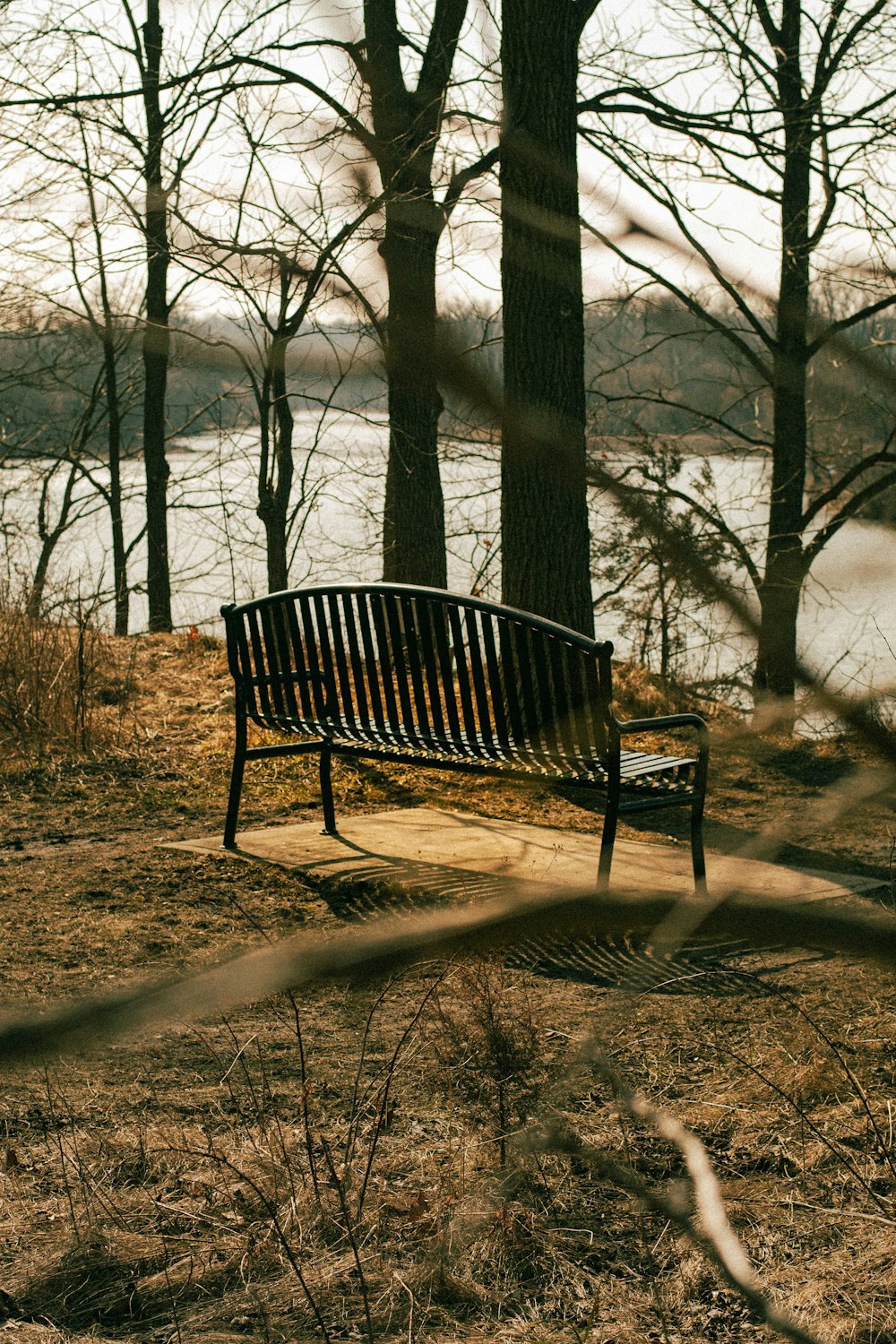 a wooden bench sitting in the middle of a forest