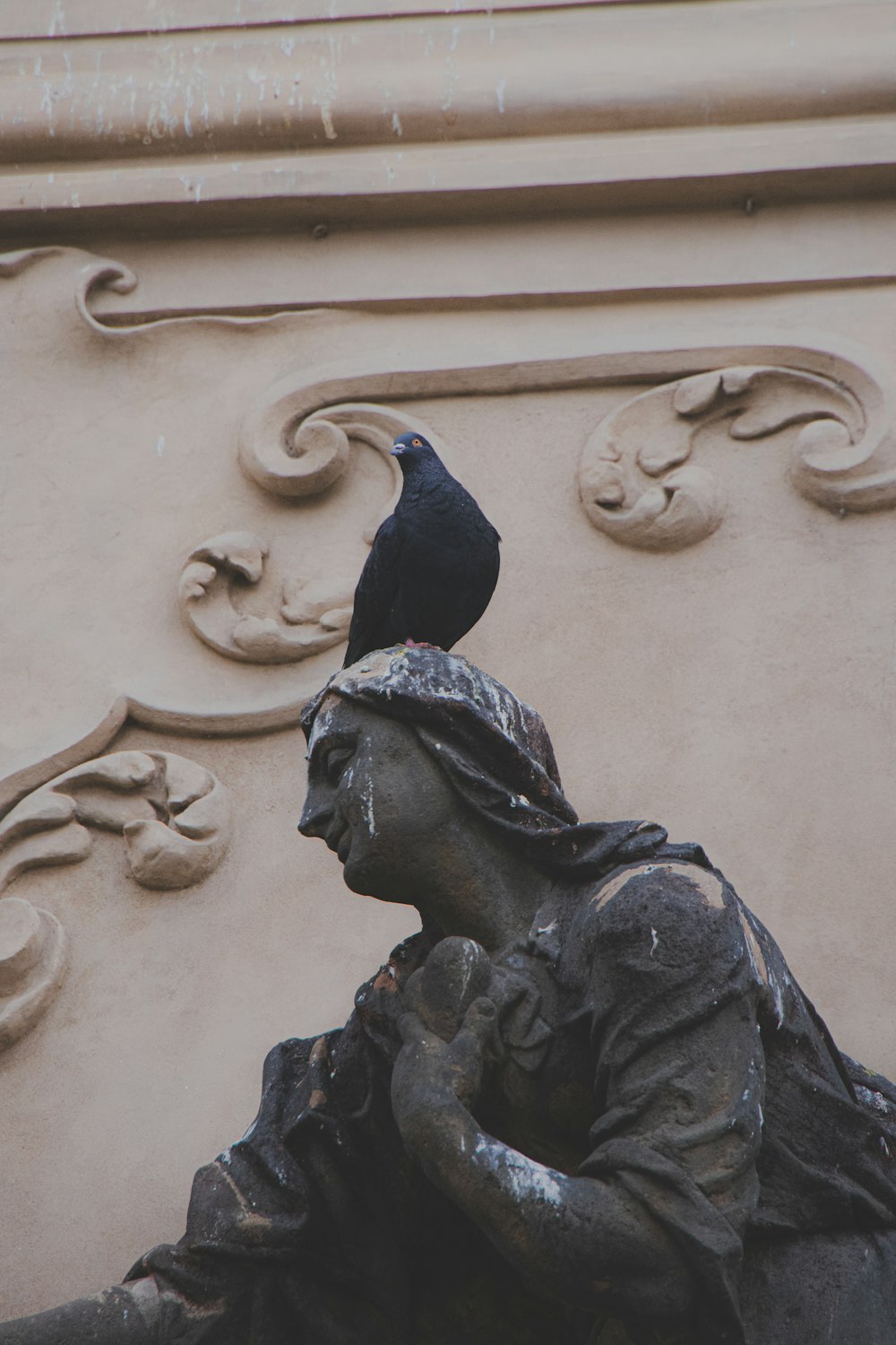 彫像の上に座る黒い鳥