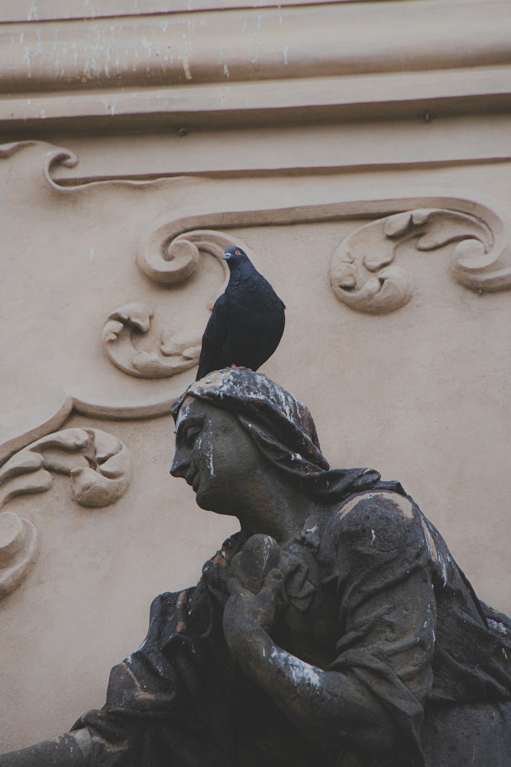 Ein schwarzer Vogel sitzt auf einer Statue