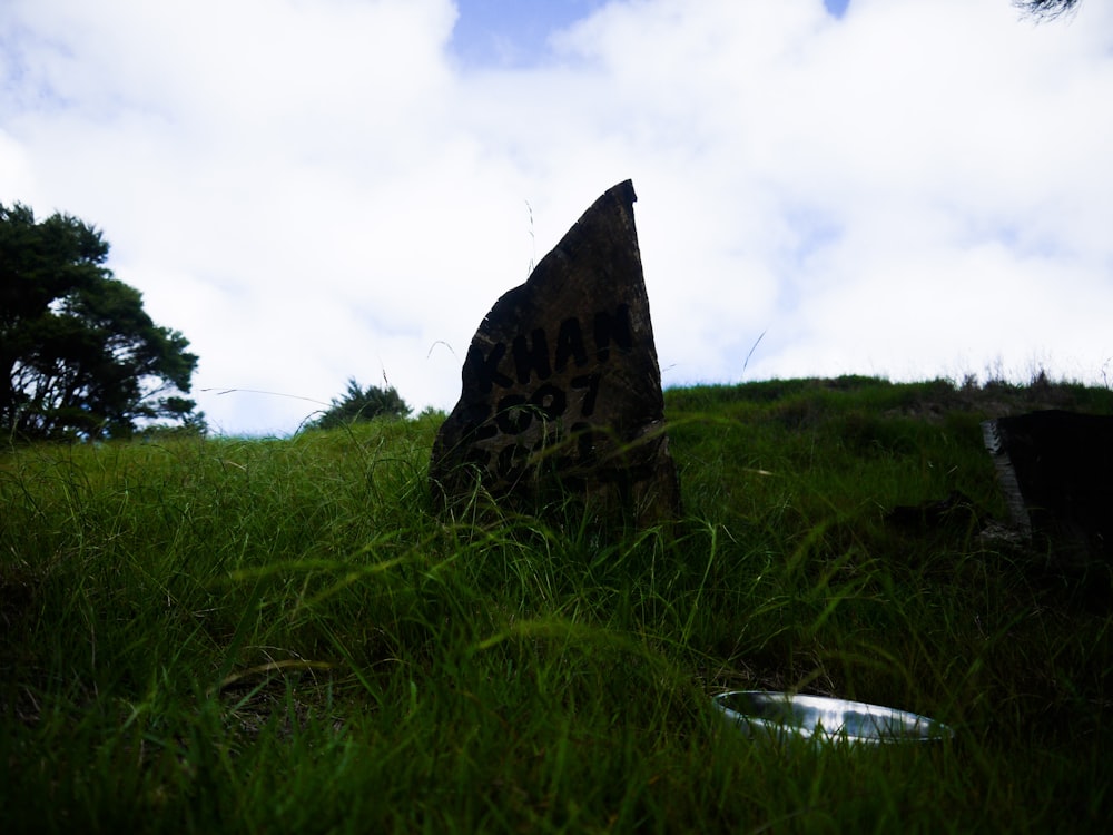 a rock sitting on top of a lush green hillside