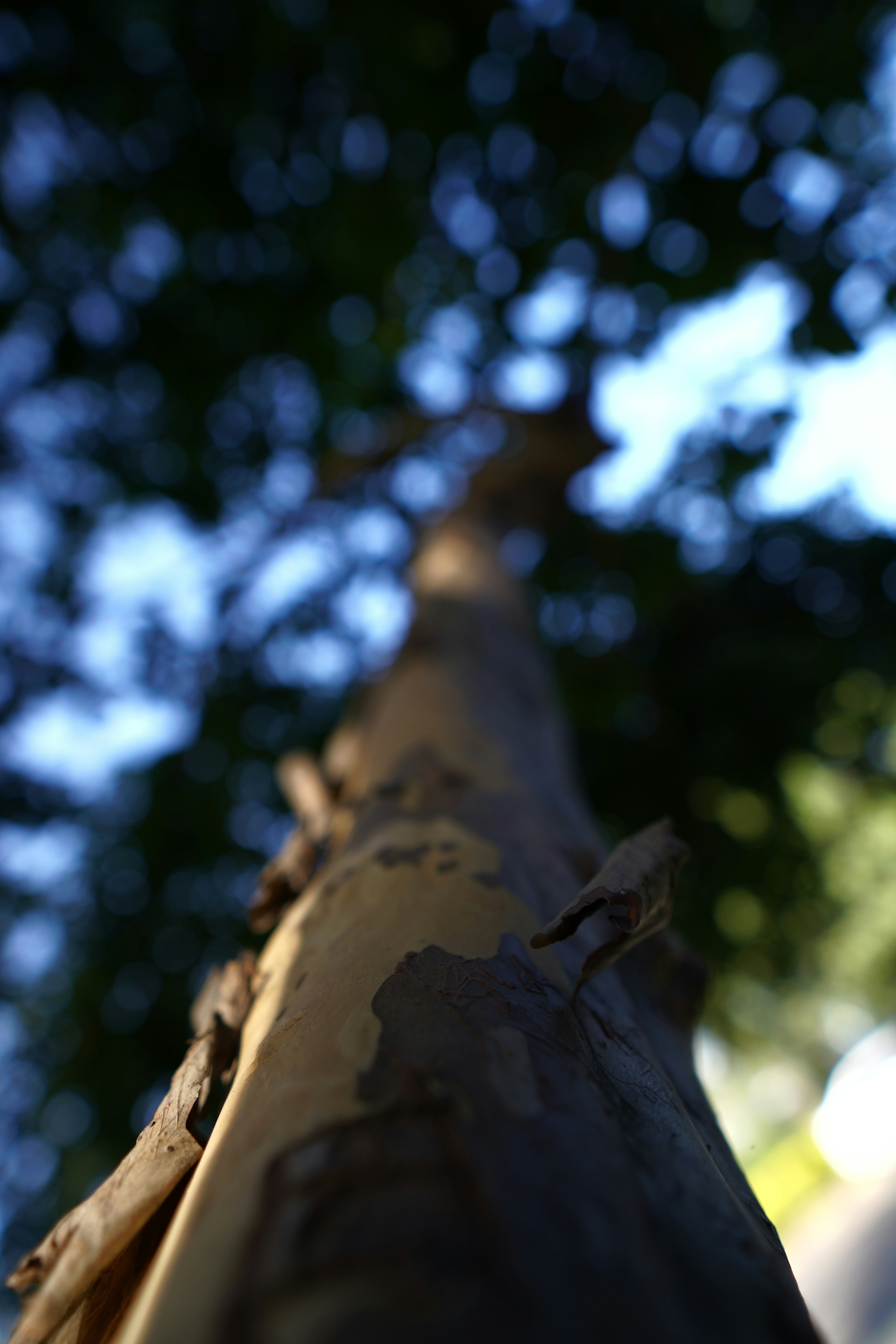 Photo by vincent_muriuki